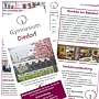 Infoflyer des Gymnasiums Diedorf