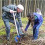 „Werde groß und stark!“ – Baumpflanzaktion des SGD
