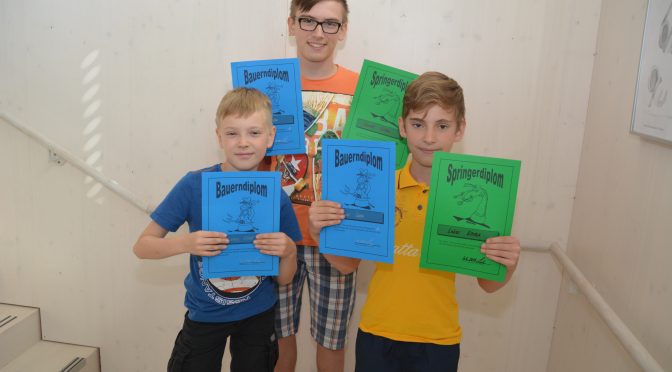 Bauern- und Springerdiplom