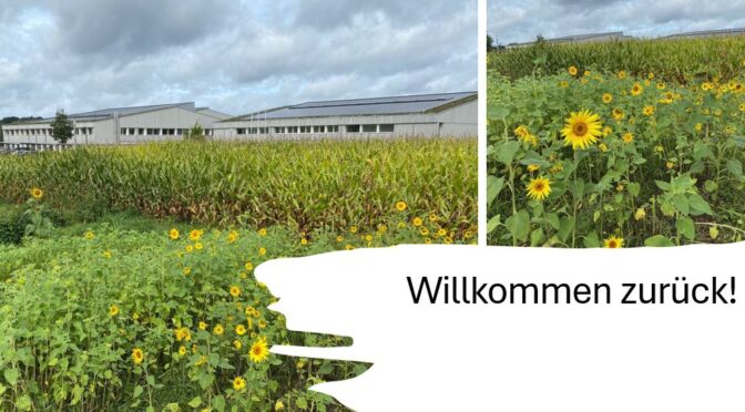 Einen guten Start ins neue Schuljahr